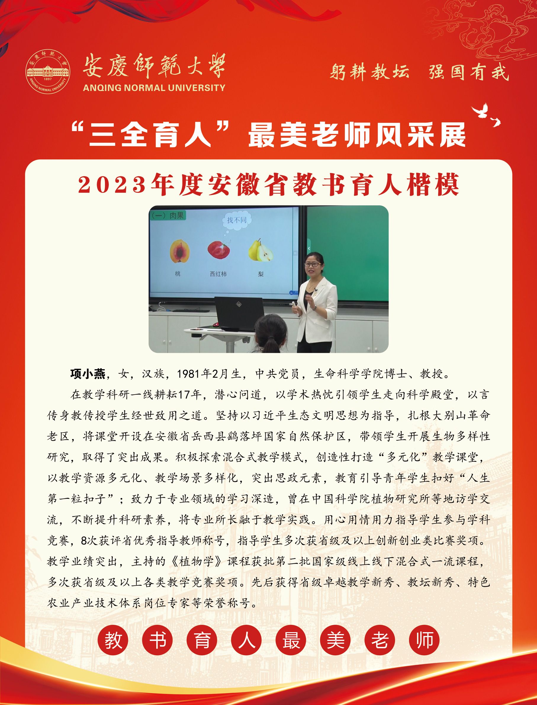 sunbet游戏官网
