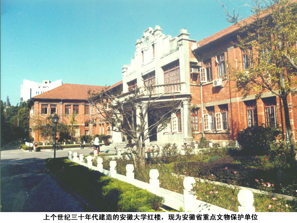 sunbet游戏官网