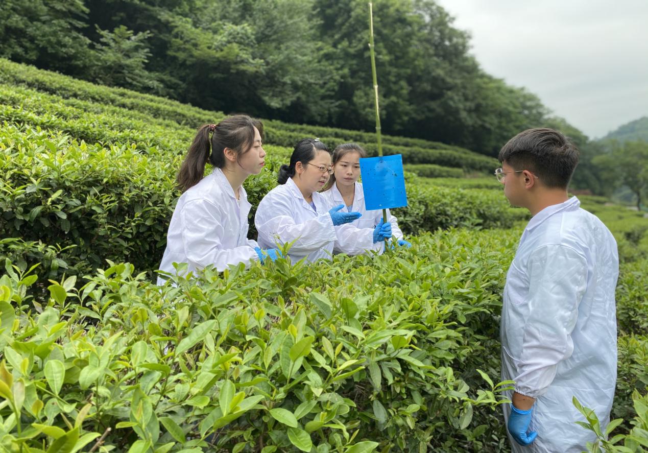 sunbet游戏官网